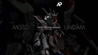 Gunpla ShowCast 154 : Custom Paint MGSD FREEDOM GUNDAM #gundamseed #mgsd #freedomgundam