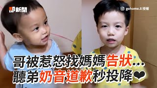 哥被惹怒找媽告狀... 弟用奶音道歉秒投降👦｜搞笑｜兄弟｜萌娃