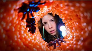 ASMR Let Me Remove That From Your Ear... (Deep Cleaning & Exam)
