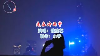 魏佳艺-走在冷雨中（好听）