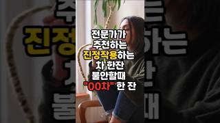 전문가가 추천하는 진정작용 티 불안한때 먹는 차 한잔