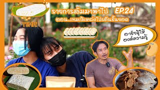 รายการสัมมาพาไป EP 24 ตอน เทมเป้...เเหล่งโปรตีนชั้นยอด