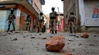 Vijay Prashad on India's Crackdown in Kashmir: \