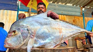 காசிமேடு 🔥 ஸ்பீடு செல்வம் | ராட்சத வைரம் ட்ரெவல்லி மீன் வெட்டும் வீடியோ | காசிமேடுவில் | FF கட்டிங் 🔪