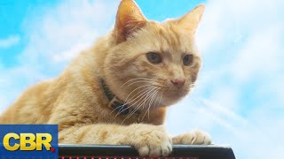 What Nobody Realized About Goose The Cat In Captain Marvel