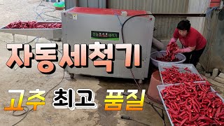 고추 자동세척기☆품질 좋은 고추가루는 이렇게 만들어 진다