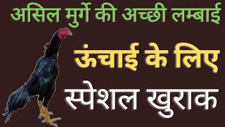 असील मुर्गों की अच्छी लम्बाई ऊंचाई के लिए  खुराक,#aseelmurgakeshortsvideo,