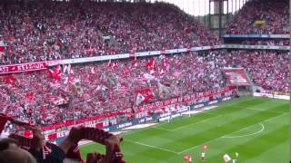 1. FC Köln - HSV 23.08.2014