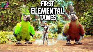 Making a TRAP to TAME an ELEMENTAL GRIFFIN! | Ark: Survival Evolved | Primal Isles EP 6