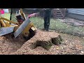 rayco rg80 stump grinder destroys 36 inch oak stump in 10 min.