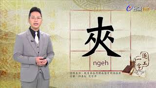 台視台語新聞逐工一字 介紹「夾」（ngeh）