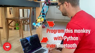 How to program SPIKE Prime with Python over Bluetooth - Swinging Monkey