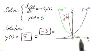 Exponential Function Solution Solution - Differential Equations in Action