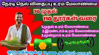 🌾நேரடி நெல் விதைப்பு உரை மேலாண்மை | 70 முதல் 110 தூர்கள் கொண்டு வருவது எப்படி Drum Seeder Method🌾