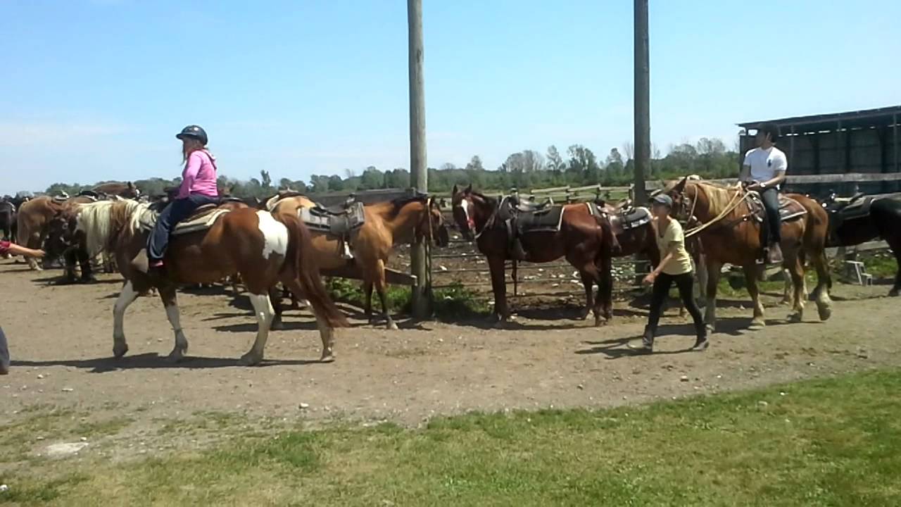 HorsePlay Niagara Riding Stables, Wainfleet, ON - YouTube