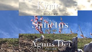 [典礼聖歌][Sub IT] 主よ憐れみたまえ/聖なるかな/神の子羊/ Kyrie-Sanctus-Agnus Dei(Japanese)a cappella