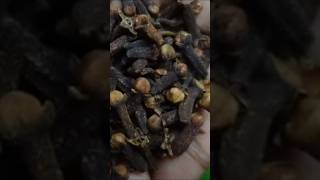 கிராம்பு பயங்கரமான உண்மை.. ஆண்கள் கவனமாக பாருங்கள்!! Clove Benefits in Tamil |