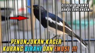 CIRI-CIRI KACER KURANG BIRAHI DAN EMOSI