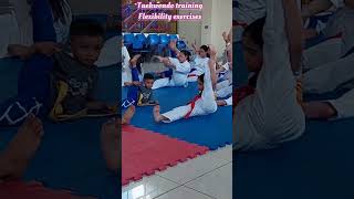 TAEKWONDO TRAINING FLEXIBILITY EXERCISES #andrea #taekwondo #flexiblebody #martialartstraining