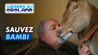 Sauvez Bambi - Groland - CANAL+