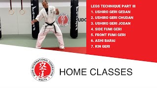 Kudo Home Class 19 - Legs Technique, part III