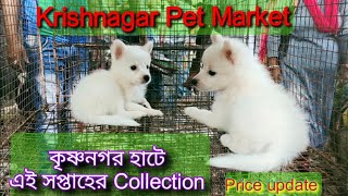 20.10.2022 কৃষ্ণনগর হাটে পাখির Collection 🐦 Krishnagar pet Market 🐦