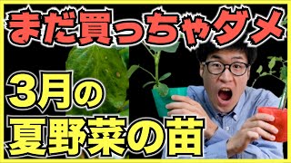 【注意喚起】なぜ家庭菜園初心者は3月や4月に夏野菜の苗をホームセンターで買ってはいけないのか？