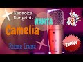 Karaoke Dangdut Camelia - Rhoma Irama (Nada Cewek)