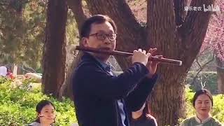 武汉东湖的梅花树下下，吹一曲《痴情冢》