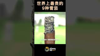 世界上最贵的9种雪茄 Cigar Double Corona Regius Cigar双皇冠雪茄 每支54000美元 品牌 - Regius 雪茄有限公司 地点 - 尼加拉瓜