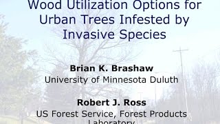 Wood Utilization Options for Urban Trees Infested by Invasive Species