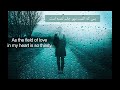 مولوی در هوایت بی‌قرارم روز و شب