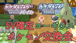 【ダイパリメイク】5Vヨーギラス配布　ポケモン交換会【桜木咲良】