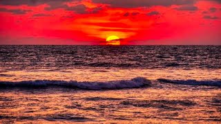 Visit to Chavakkad Beach 🏝  |thrissur|kerala| SUNDAY EVENING