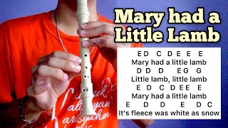 Mary Had a Little Lamb - Easy Recorder Letter Notes | Flute Notes | Nursery Rhyme