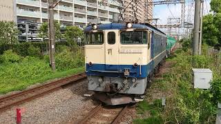 【EF65-2101牽引 米軍燃料輸送】4月22日小田栄駅 新鶴見A1950運用 8079レ EF65-2101 国鉄色 クリームプレート