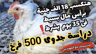 ⚡دراسة جدوى 500 فرخة بيضاء🐓التكلفة والأرباح بربح 18الف جنيه#مشروع_مربح#دراسة_جدوى✅ #poultry #chicken