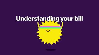 Understanding your bill