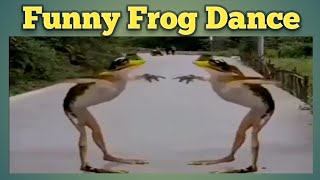 FROG DANCE @edgarelicmission