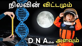 Top Unknown Facts About Sun \u0026 Moon | சூரியன் மற்றும் நிலா பற்றிய அறியப்படாத முக்கிய உண்மைகள்