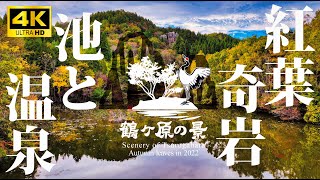 おおいた♨️池めぐり\u0026紅葉状況⑤鶴ヶ原の景と鶴川温泉 2022/11/1