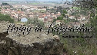 Ladies in Languedoc