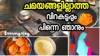 അലങ്കാരങ്ങളില്ലാത്ത വീട്ടമ്മയുടെ രാത്രി വിശേഷങ്ങൾ|EVENING ROUTINE|VILLAGE LIFESTYLE MALAYALAM VLOG