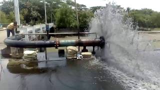 Pipeline Dewatering / Pigging After Hydrostatic Test ( pre-commissioning)