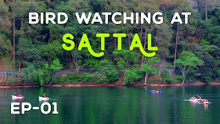 EP - 01 Bird Watching at Sattal 2023 (Bhimtal, Uttarakhand) - 4K Video Hindi | हिन्दी