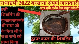 राधाष्टमी 2022 बरसाना में क्यों पैदा हुईं राधारानी#radhaashtami2022#barsana#radharanitemple