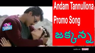 Jakkanna (2016) Movie Andam Tannullona Promo Song | Sunil, Mannara Chopra, Sapthagiri | Cine Talkies