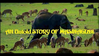 Untold Story of Masinagudi|SI|Documentary 2021|The Nilgiris