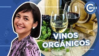 QUÉ SON LOS VINOS ORGÁNICOS Y NATURALES