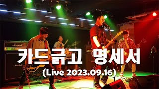 #375 (Korean Punk Rock) 카드긁고 명세서_Live_2023.09.16